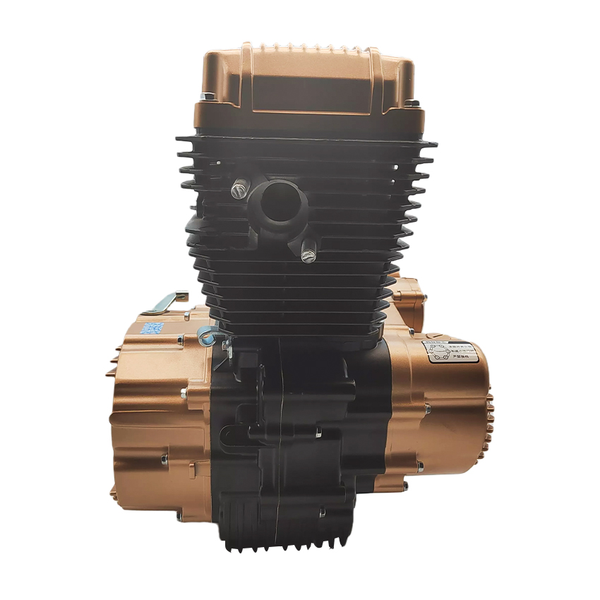 Zongshen CG200cc Single Cylind - Motorcycle Engine Parts review and price